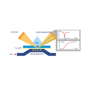 表面等离子共振（SPR）